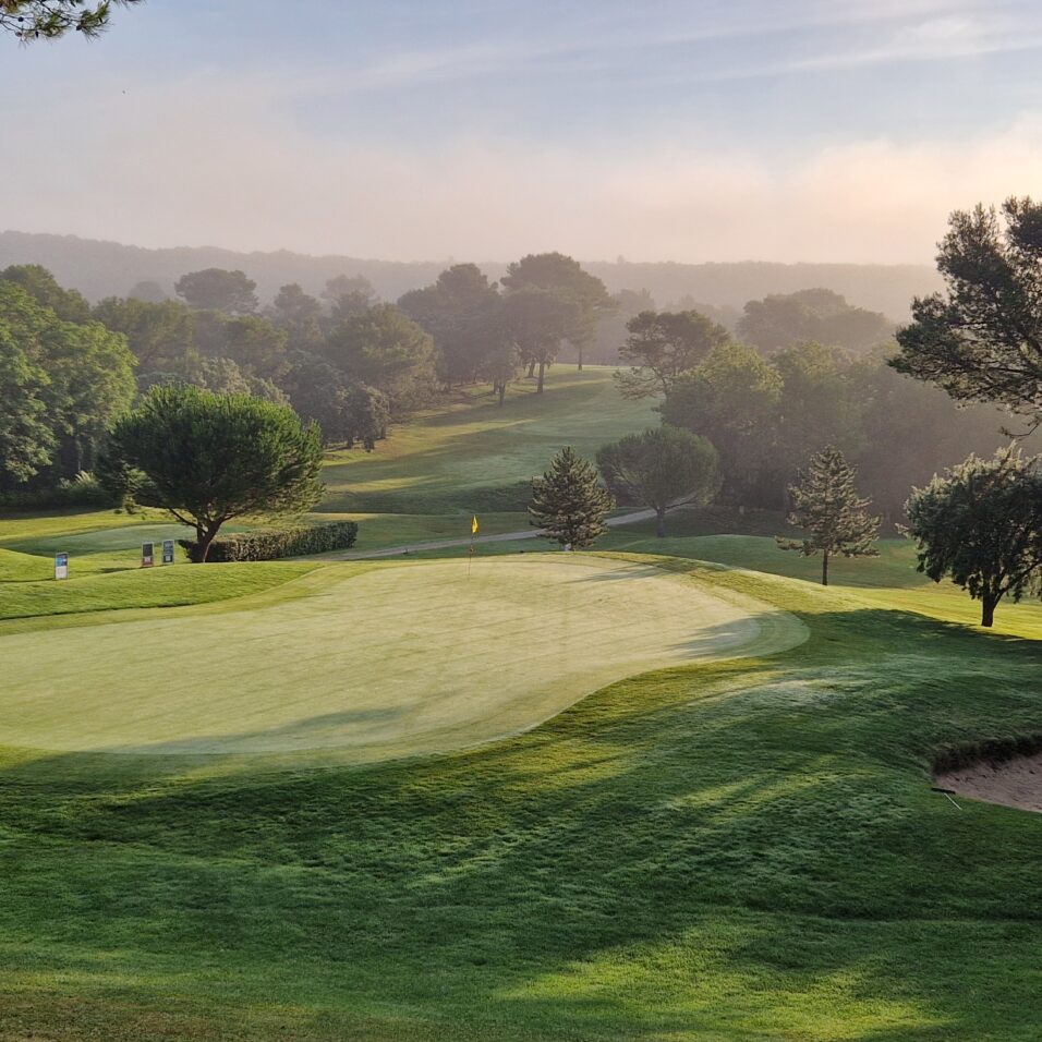 Terrain de golf le matin, embrumé