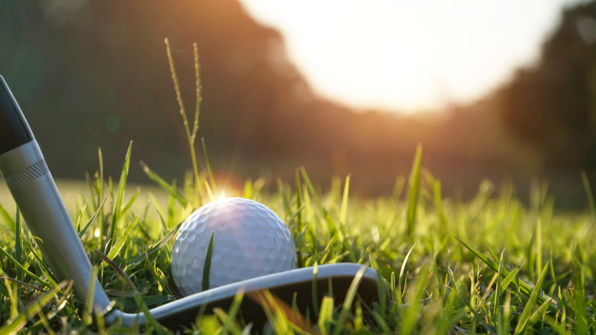 Balle de golf reflétant le soleil, vue de près sur un terrain de golf en herbe sur fond de coucher de soleil