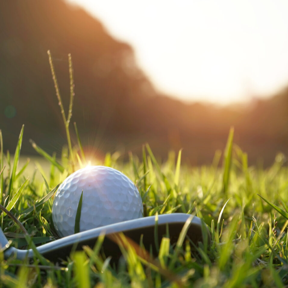Balle de golf reflétant le soleil, vue de près sur un terrain de golf en herbe sur fond de coucher de soleil